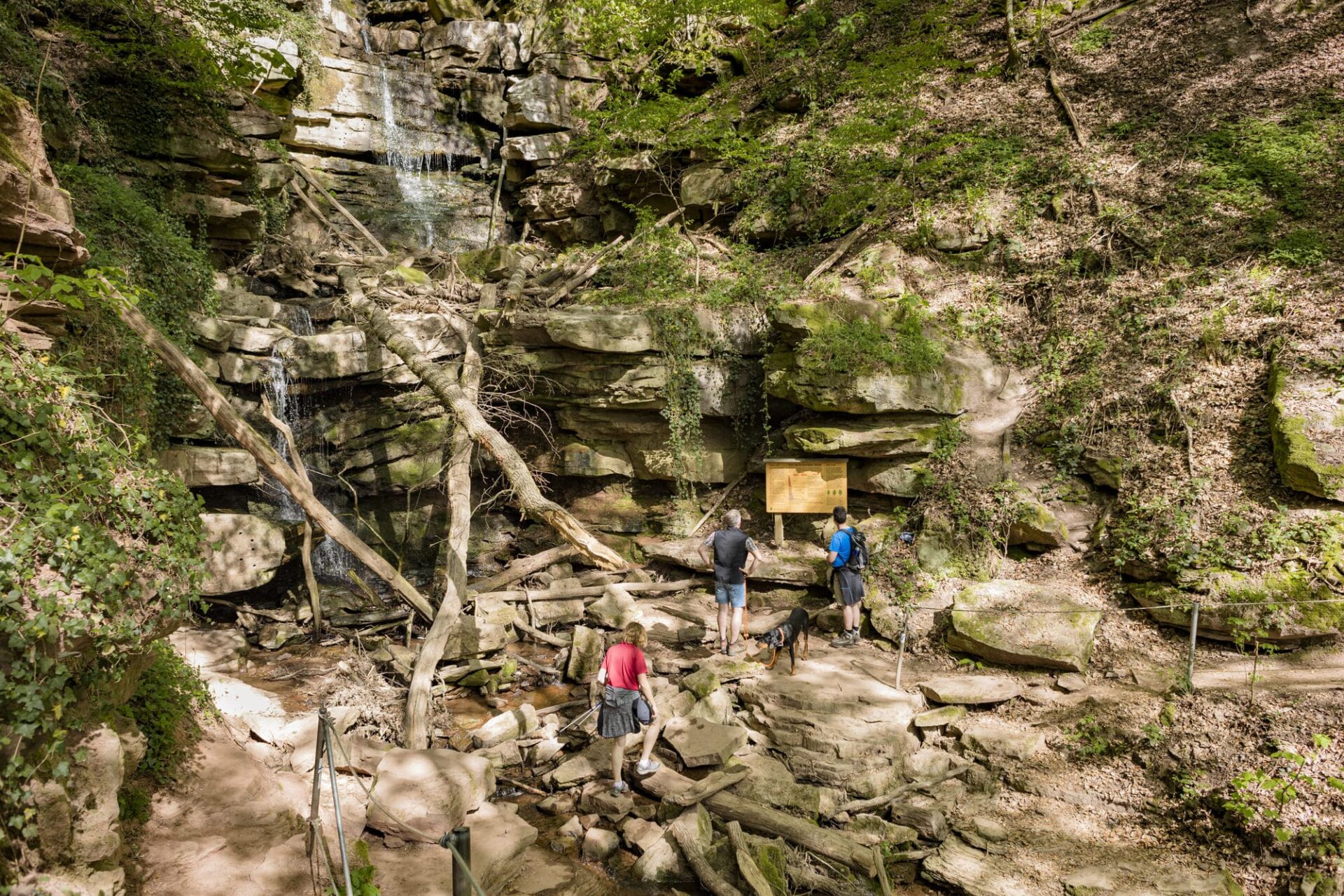 Blick in die Margarethenschlucht, Wanderer stehen vor einer Infotafel und einem kleinen Wasserfall