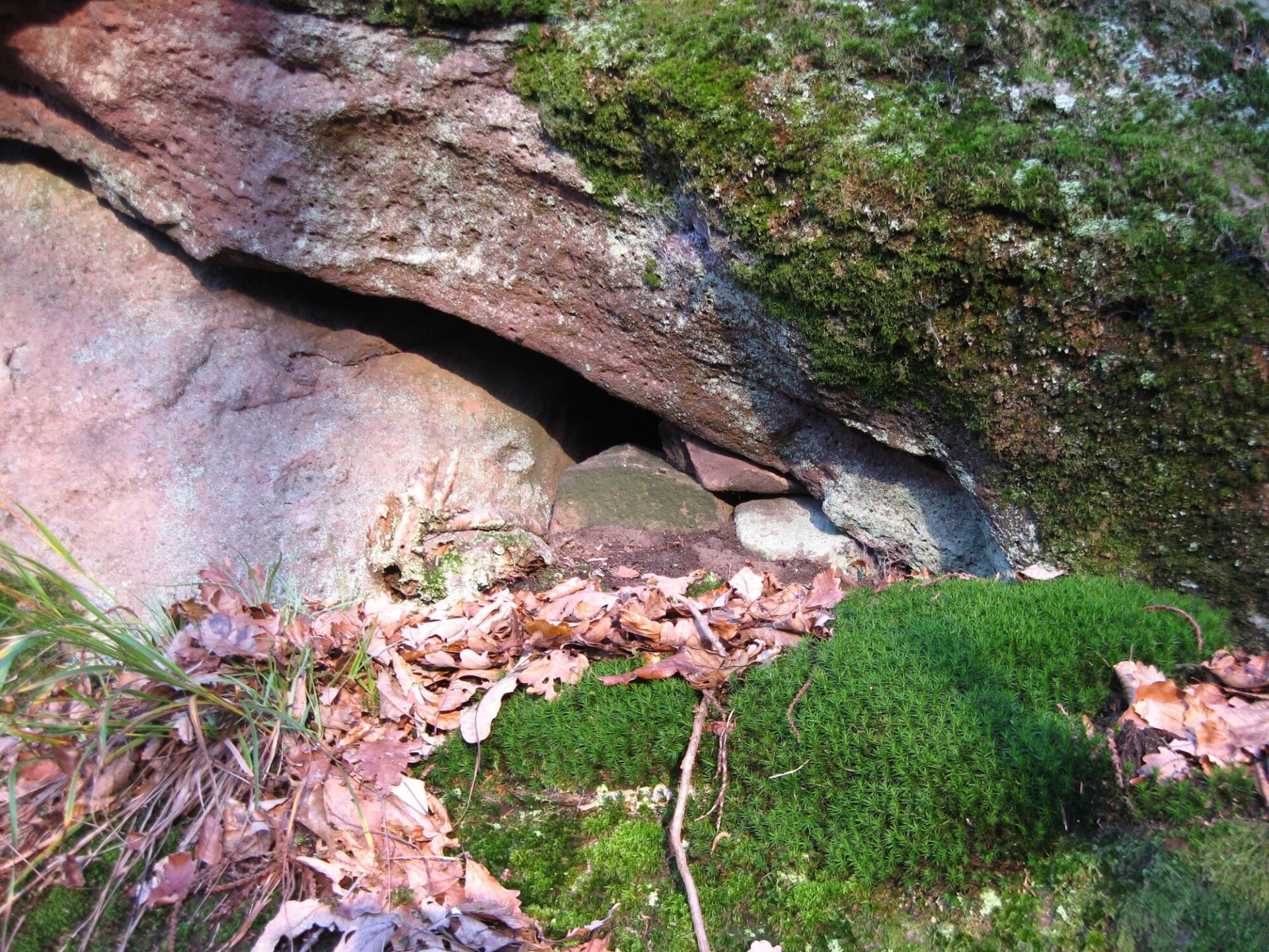 Buntsandsteinfelsen mit Moos bewachsen und einer Felsspalte in der Mitte