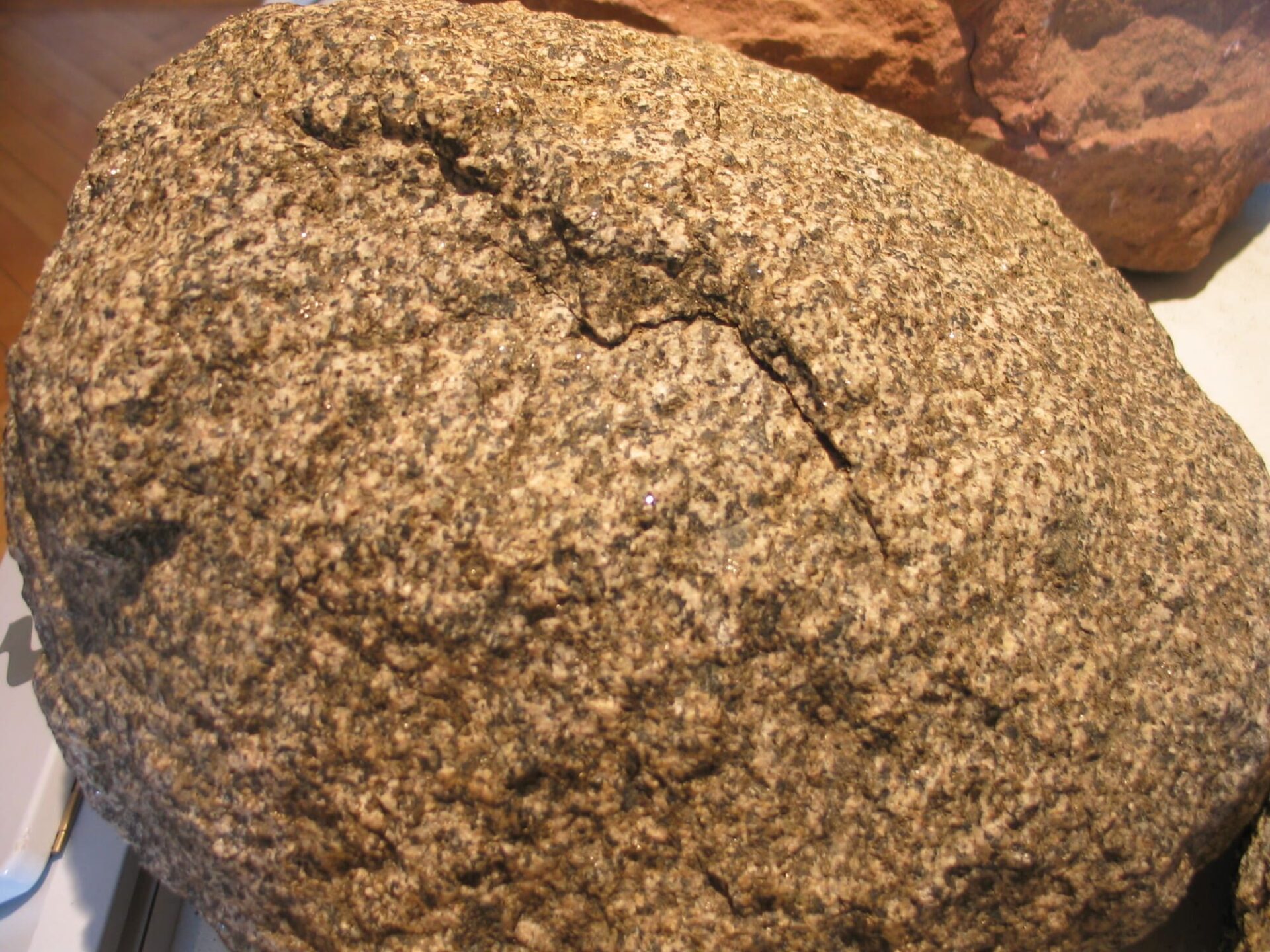 Granitfelsen in der Ausstellung im Naturpark-Zentrum in Eberbach