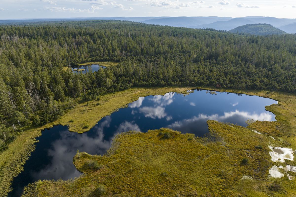 Bergsee im Schwarzwald Mitte/Nord bei Kaltenbrunn
