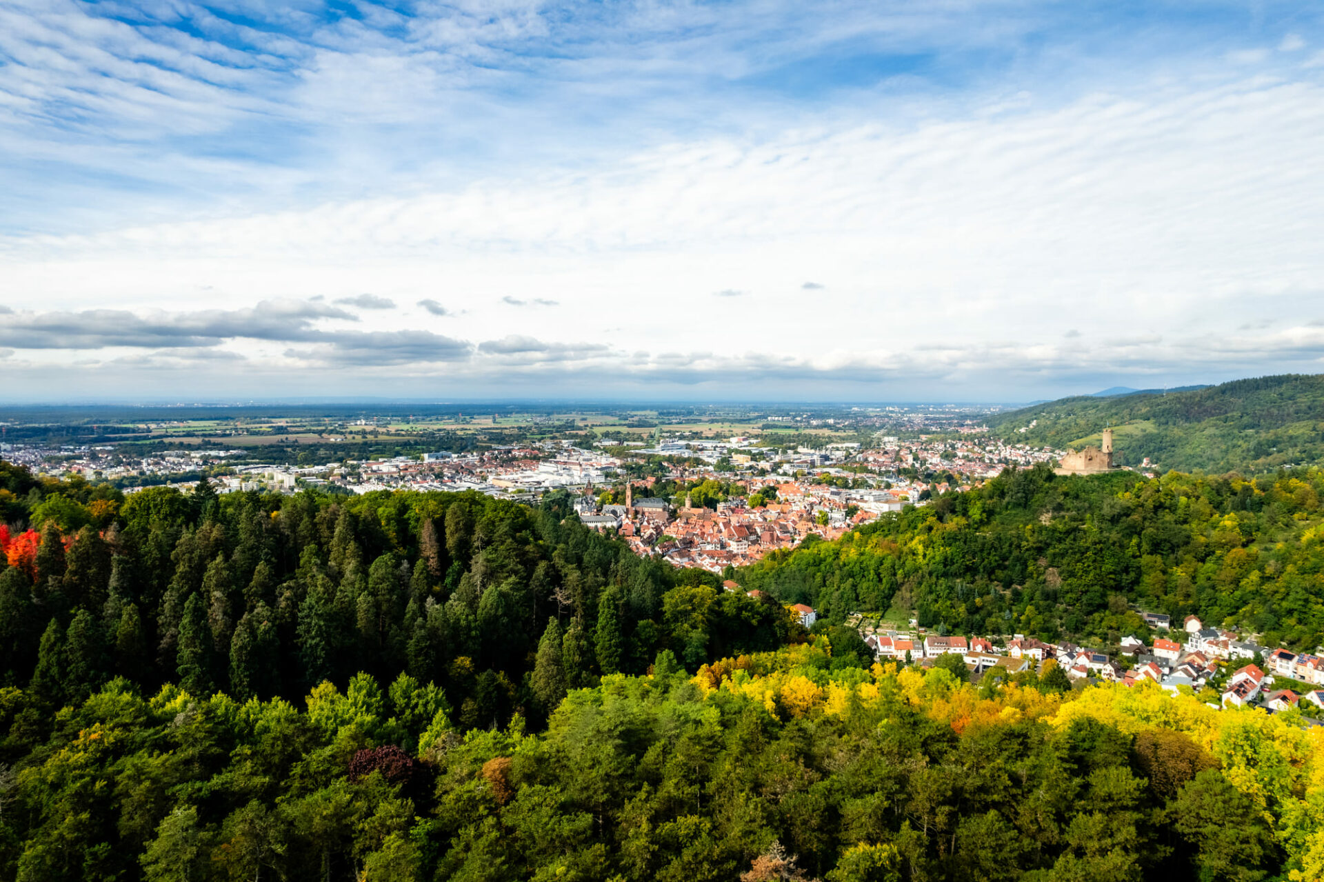 Drohnenaufnahme Mischwald im Vordergrund im Hintergrund ist Weinheim zu erkennen