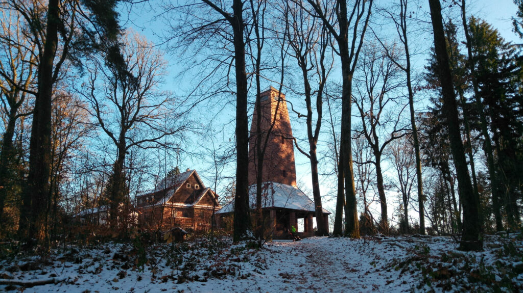 Blick durch den Wald auf die Gaststätte Weißer Stein mit Aussichtsturm im Winter bei Schnee