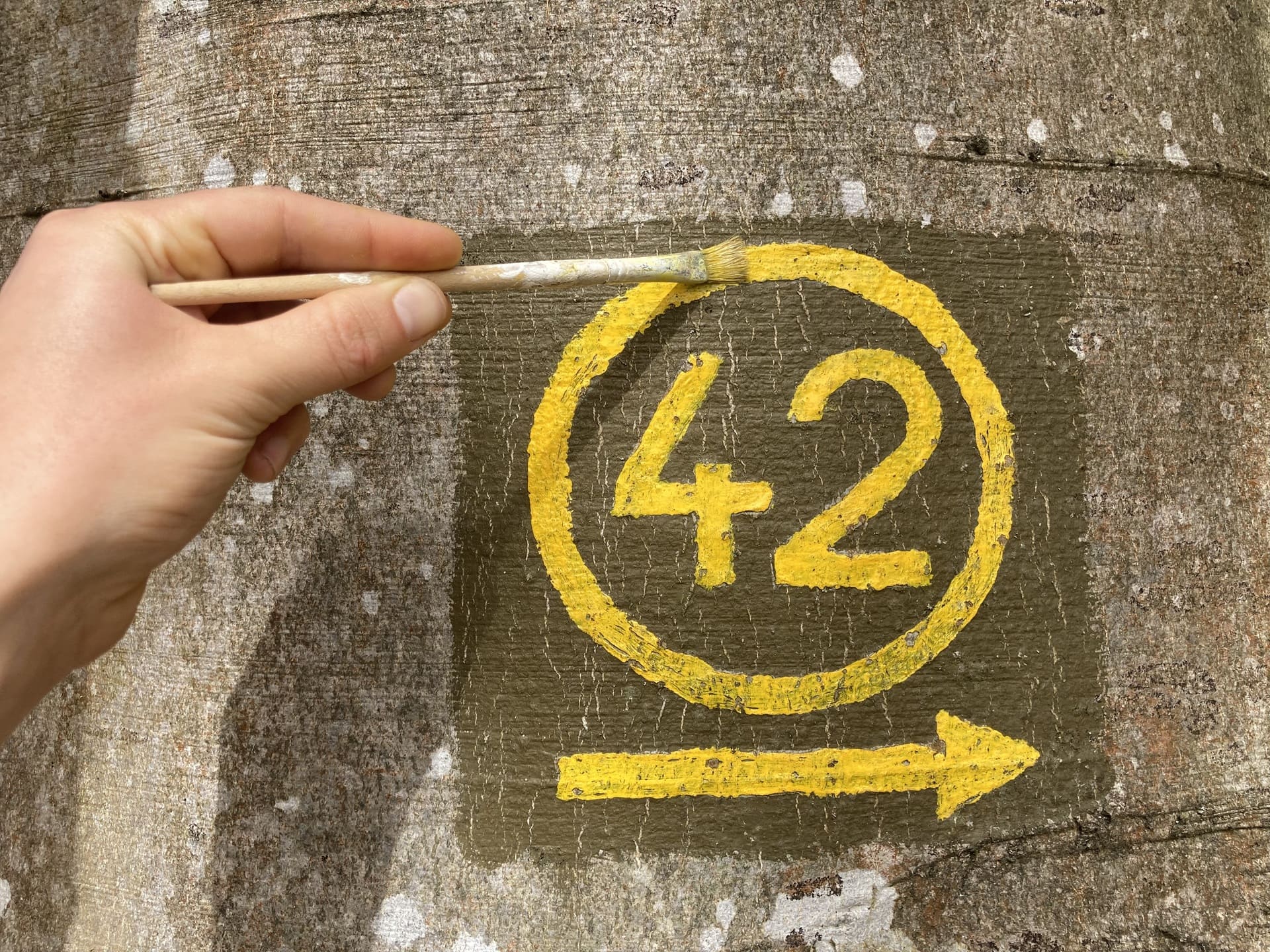 Mit einem Pinsel wird die Markierung für den Rundwanderweg 42 an einem Baum gepinselt