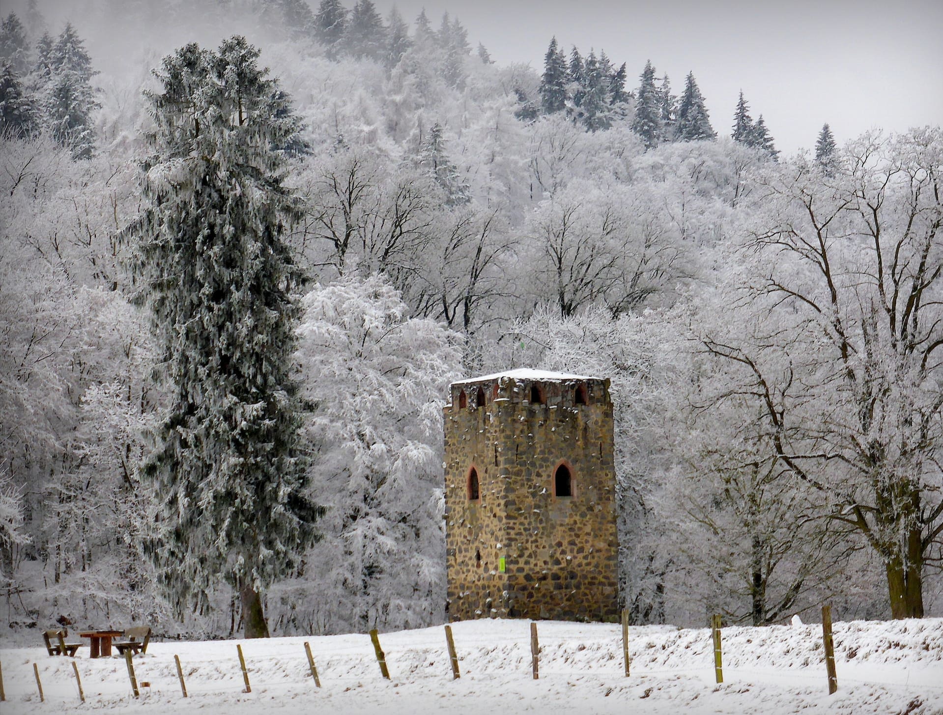 Waldnerturm in Hemsbach im Winter