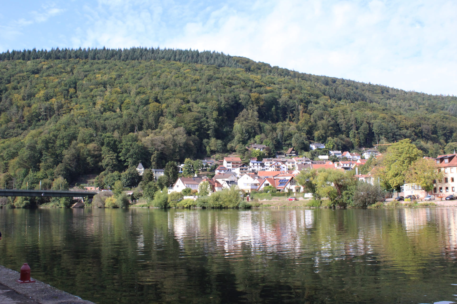 Blick auf den Neckar und Neckargemünd