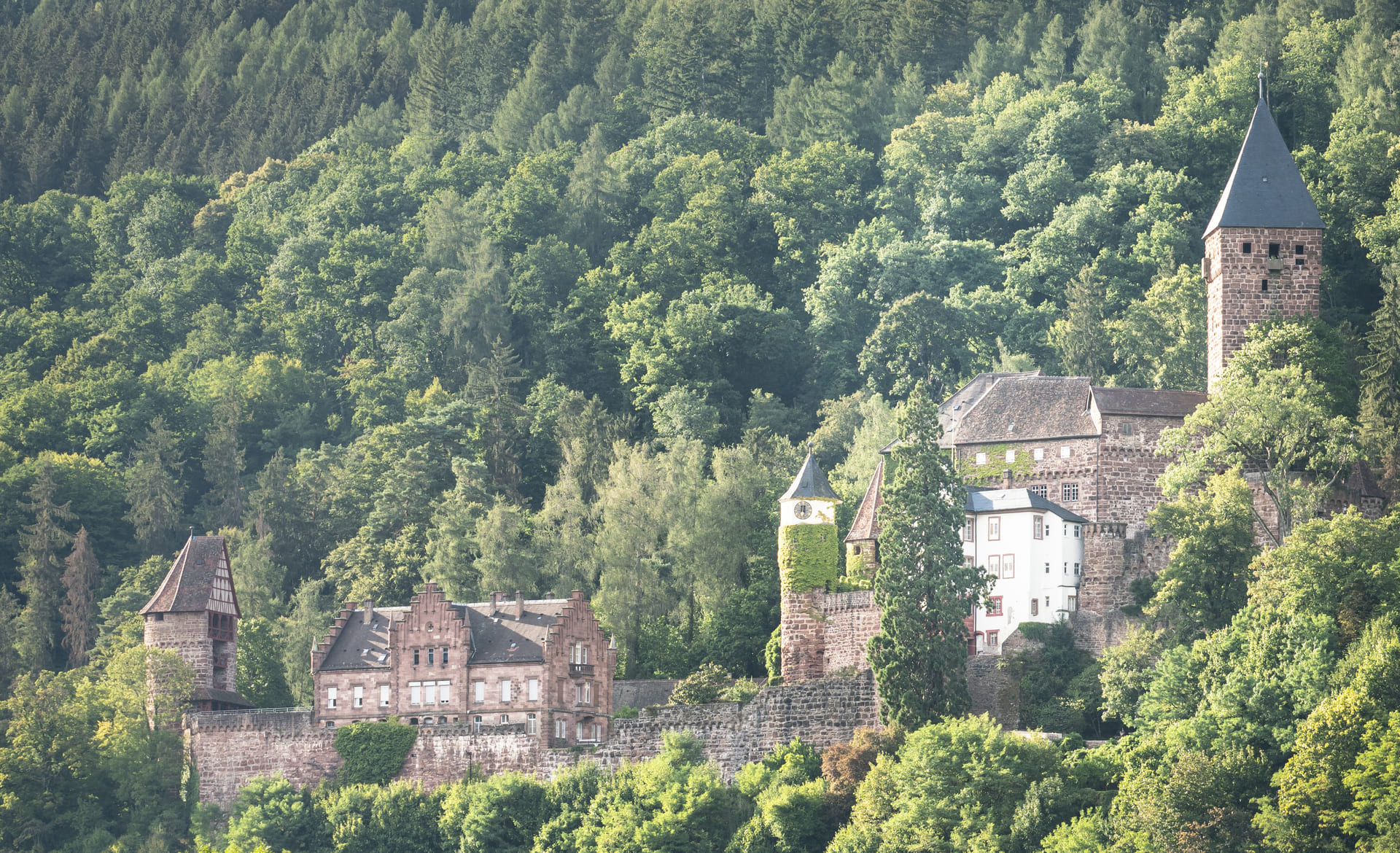 Schloss Zwingenberg am Hang