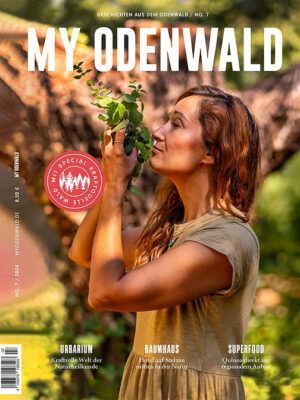 My Odenwald 7